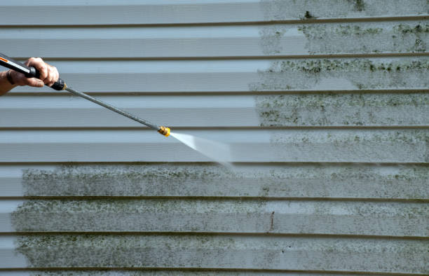 Best Local Mold Removal Service  in Parkwood, WA