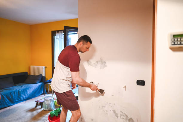 Best Residential Mold Removal  in Parkwood, WA