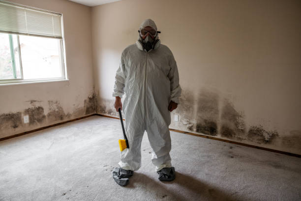 Best Affordable Mold Removal  in Parkwood, WA